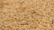 Rice Husk Ash: Scientists Produce Green Solution for Concrete Construction